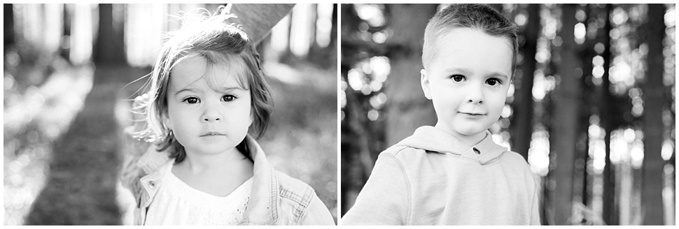 Tamara Jaros Photography-Sindler Family Portraits-Crystal Lake IL-Veterans Acres-Rustic Spring Portraits