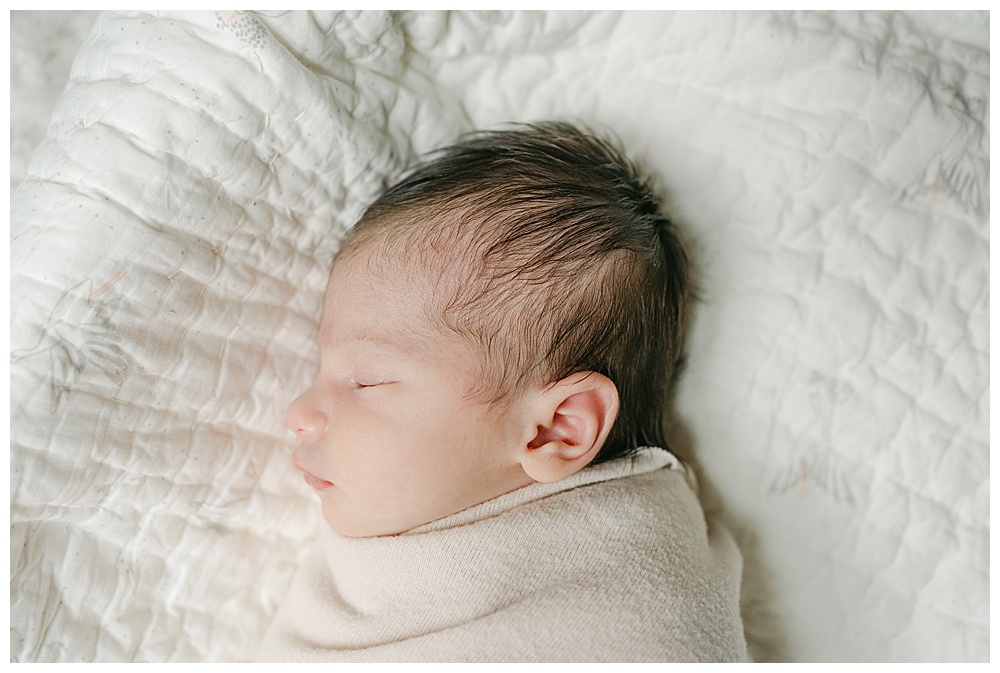 in-home crystal lake lifestyle newborn photographer