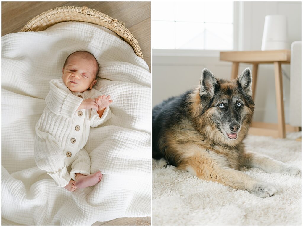 creating-timeless-newborn-portraits-crystal-lake-newborn-photographer-tamara-jaros-photography